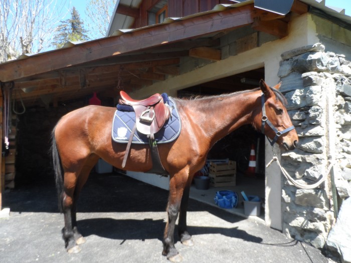 Photo de profil de ufanaepona