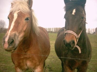 Photo de profil de umiakdeprv