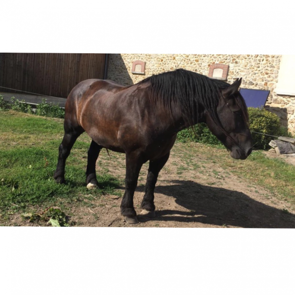 Photo de profil de unic44