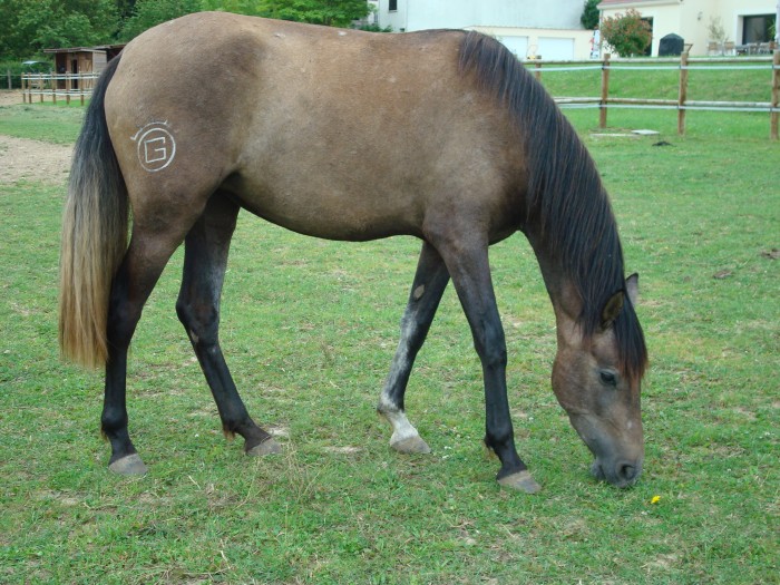 Photo de profil de unkei