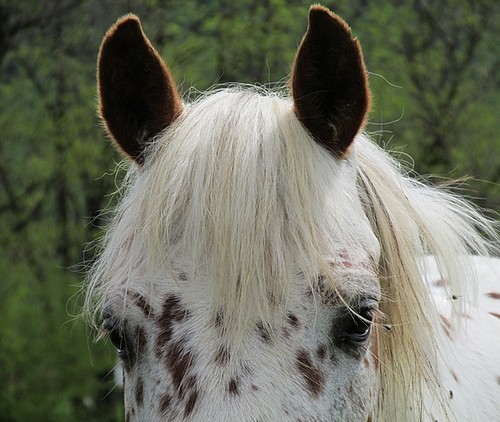 Photo de profil de varglas