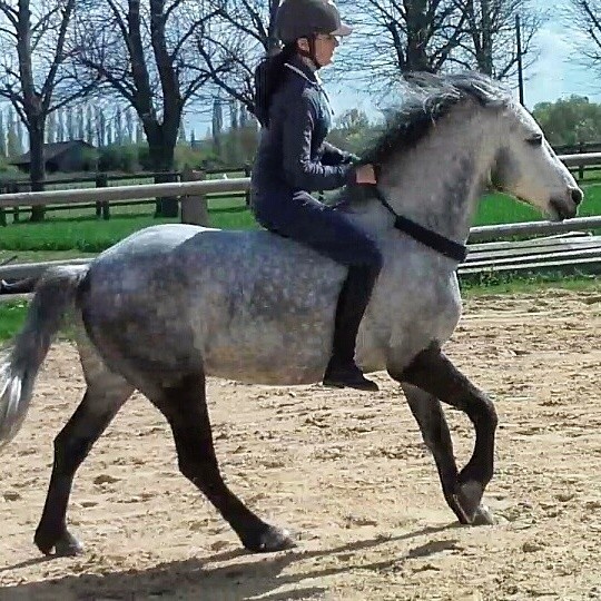 Photo de profil de vdj1251