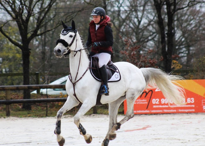 Photo de profil de vegakou