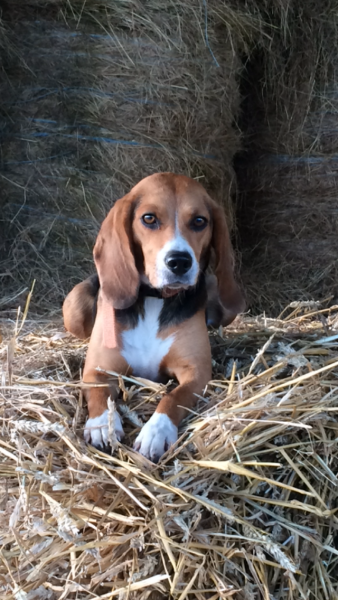 Photo de profil de ventdespoir