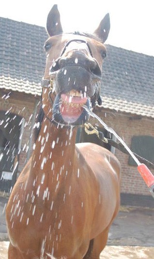 Photo de profil de viart_alizee