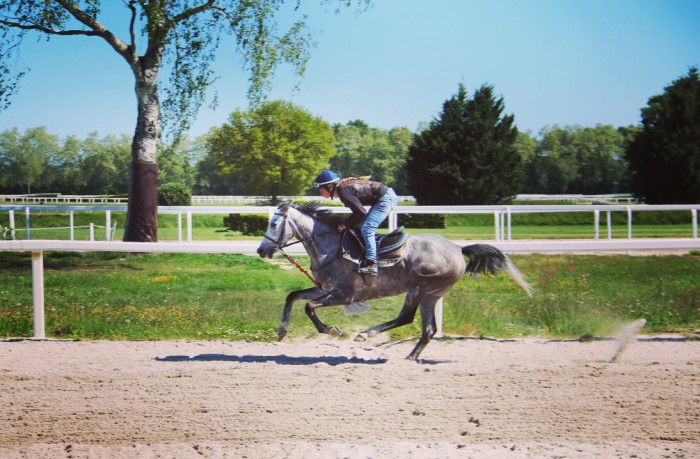 Photo de profil de vickie12