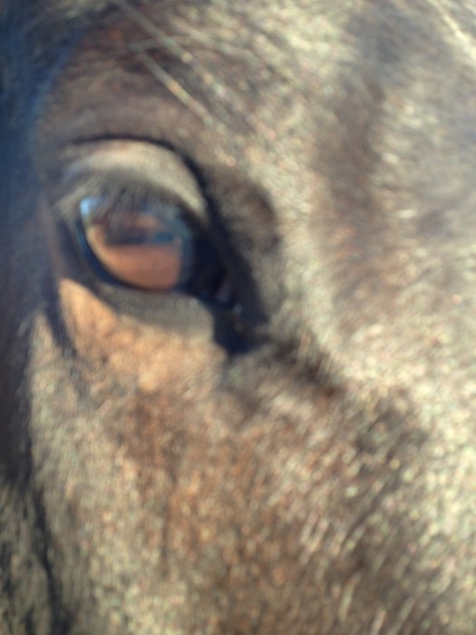 Photo de profil de vinci34
