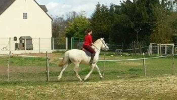 Photo de profil de viny77