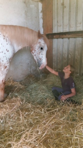 Photo de profil de vivacesar