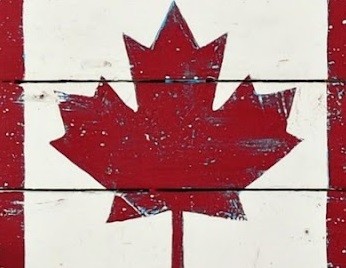 Photo de profil de wolfsoldier84