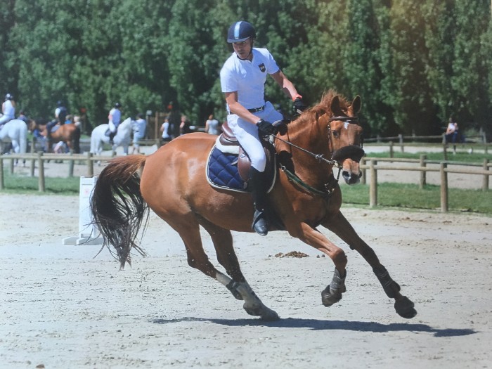 Photo de profil de xwlaurent