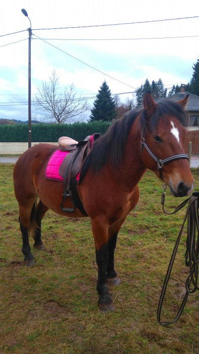 Photo de profil de yeko88