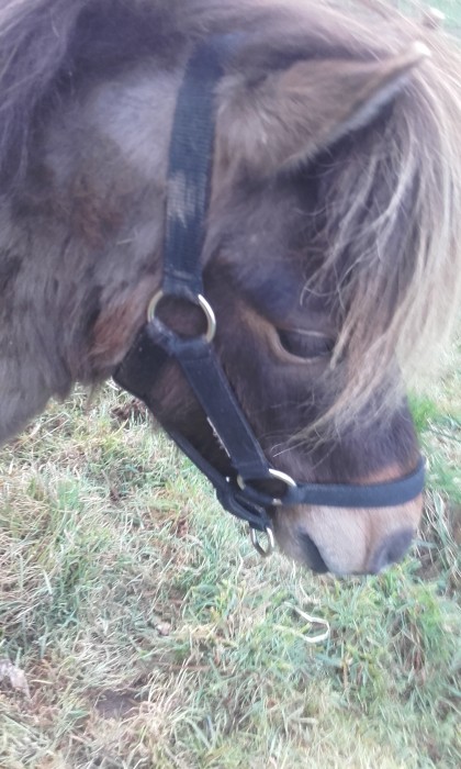 Photo de profil de zazou05