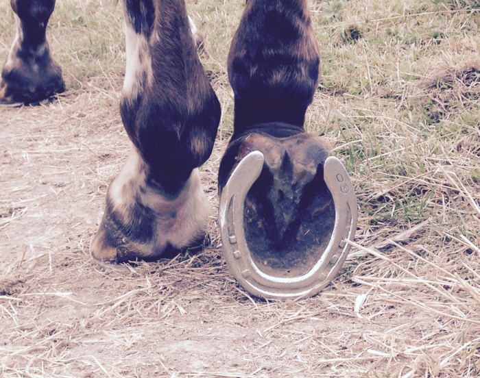 Photo de profil de zazou28