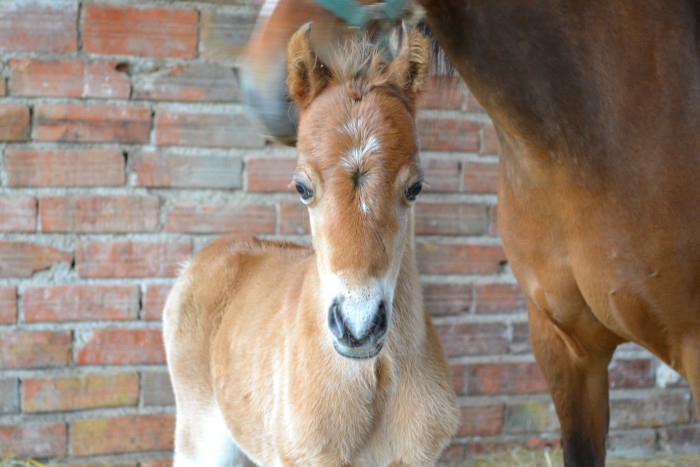 Photo de profil de zeiphora