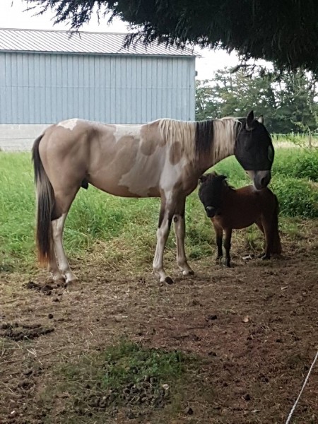 Photo de profil de 15ally