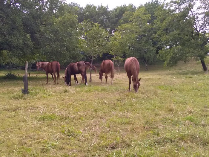 Photo de profil de 1ajm