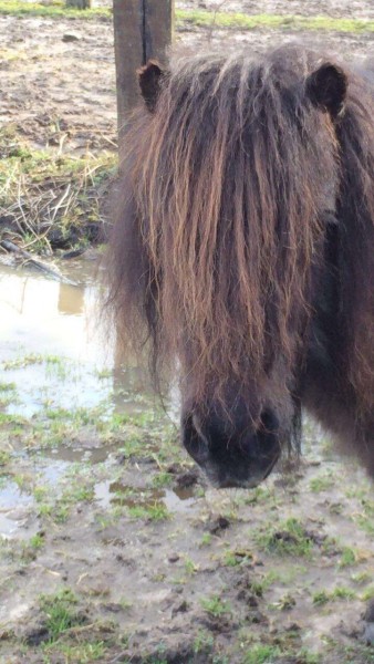 Photo de profil de 2victorine2