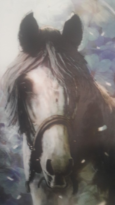 Photo de profil de 54christ