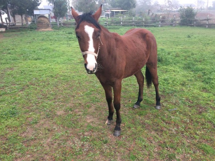 Photo de profil de 70miki