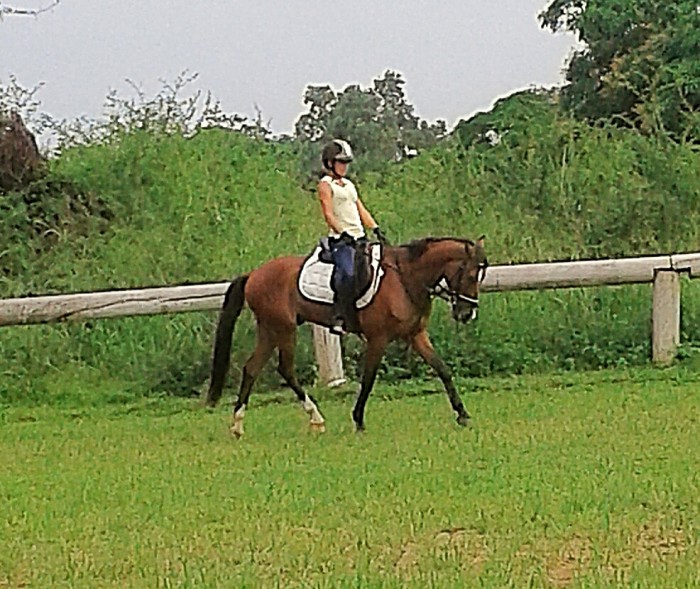 Photo de profil de aaaaa58