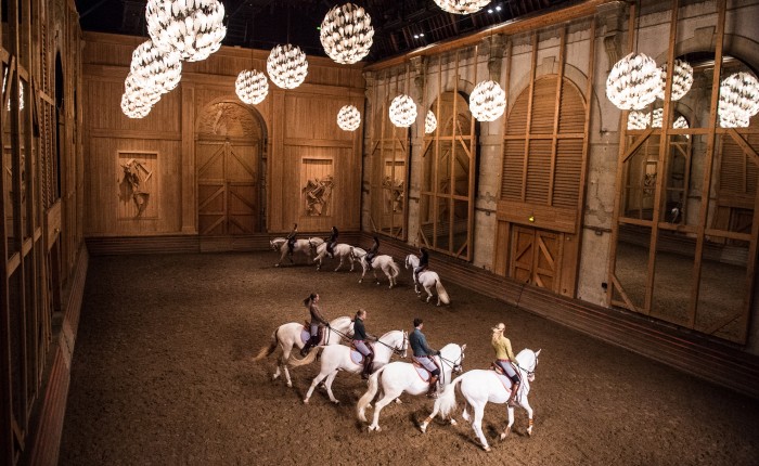 Photo de profil de acadequestre