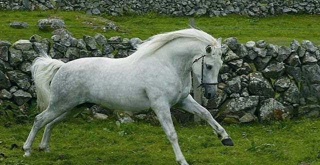 Photo de profil de adele38500