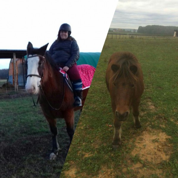 Photo de profil de adelinecheval