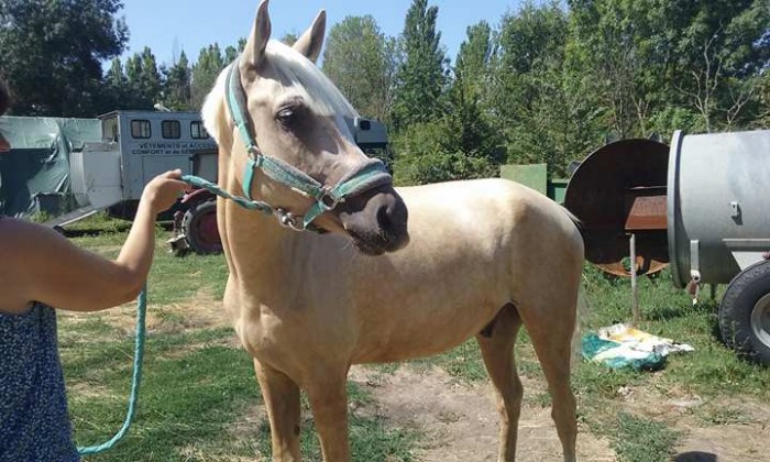 Photo de profil de adrimy