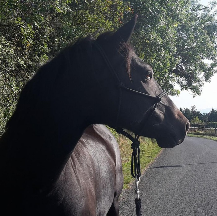 Photo de profil de aellaska