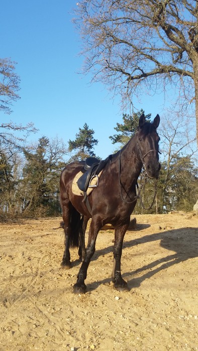 Photo de profil de agnieszka