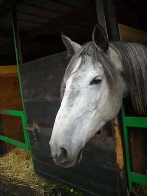 Photo de profil de ajladusauveterr
