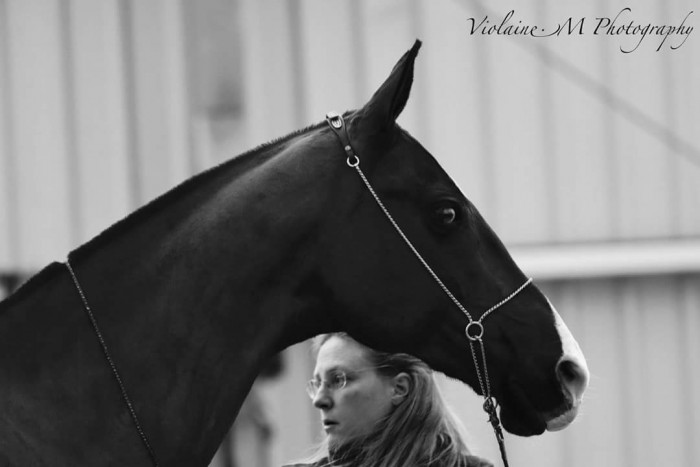 Photo de profil de akhal54