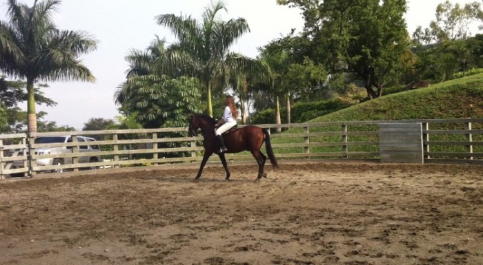 Photo de profil de albajonelle