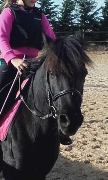 Photo de profil de albine