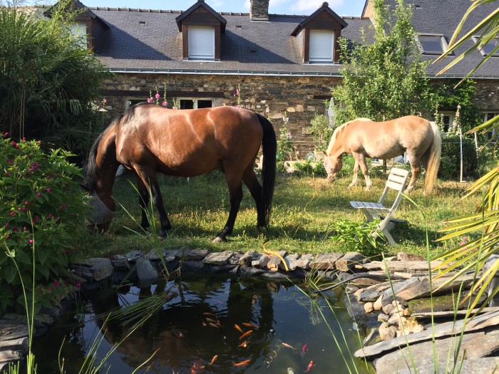 Photo de profil de allegra21