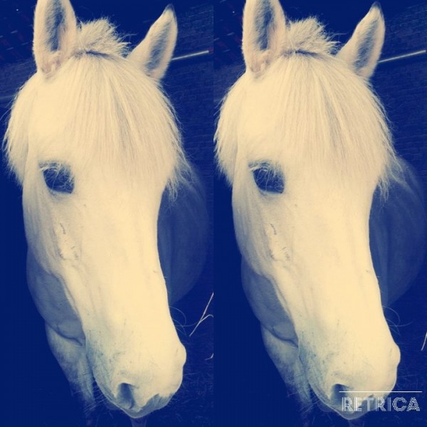 Photo de profil de ambryon