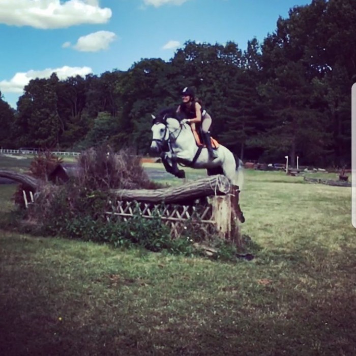 Photo de profil de amehorse