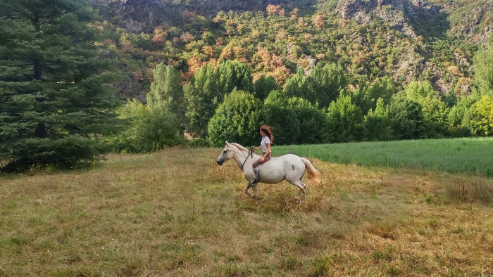 Photo de profil de ameliiie