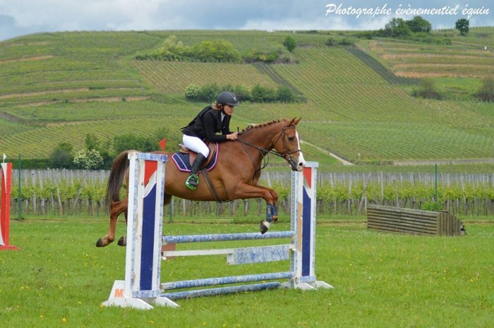 Photo de profil de ammel68