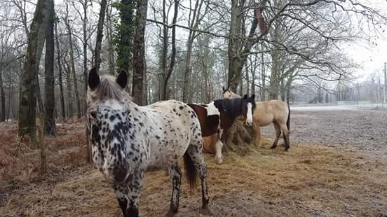 Photo de profil de amour1999