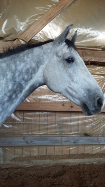 Photo de profil de ana19a