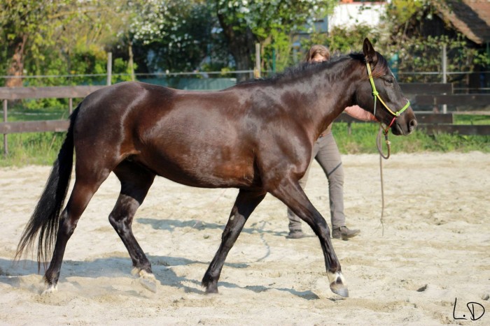 Photo de profil de anaclo