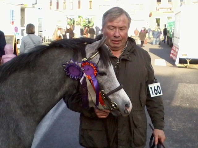 Photo de profil de andrem