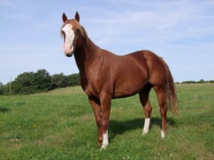 Photo de profil de ane23