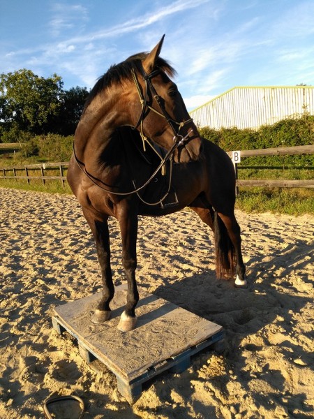 Photo de profil de angel85