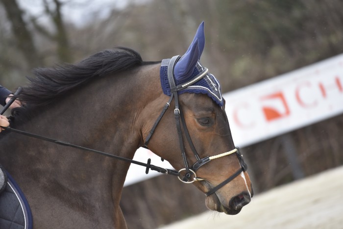 Photo de profil de anilrac