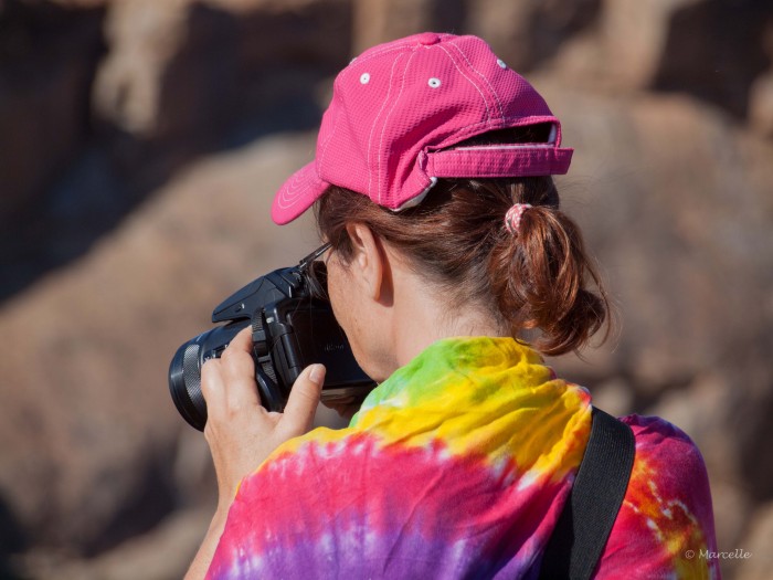 Photo de profil de animalcarers