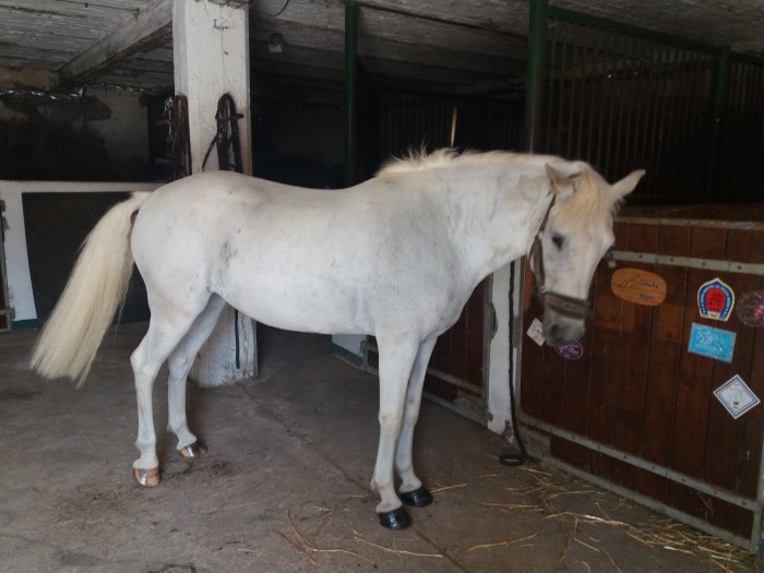 Photo de profil de anisdelasouste