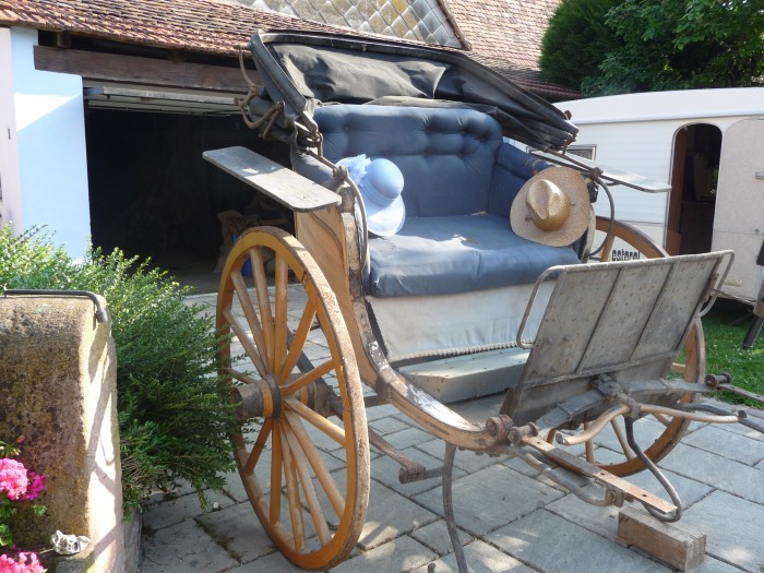 Photo de profil de anka